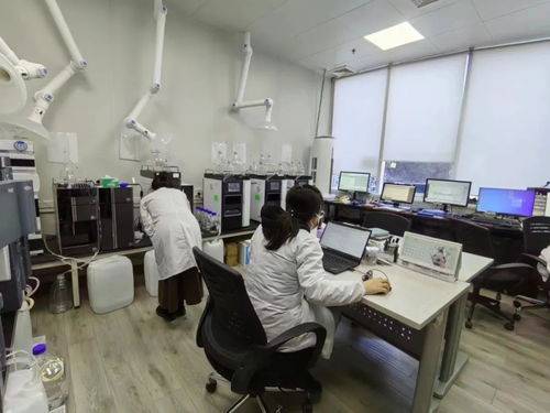 全市首批專精特新服務站試點落地昌平，助力新材料技術推廣服務